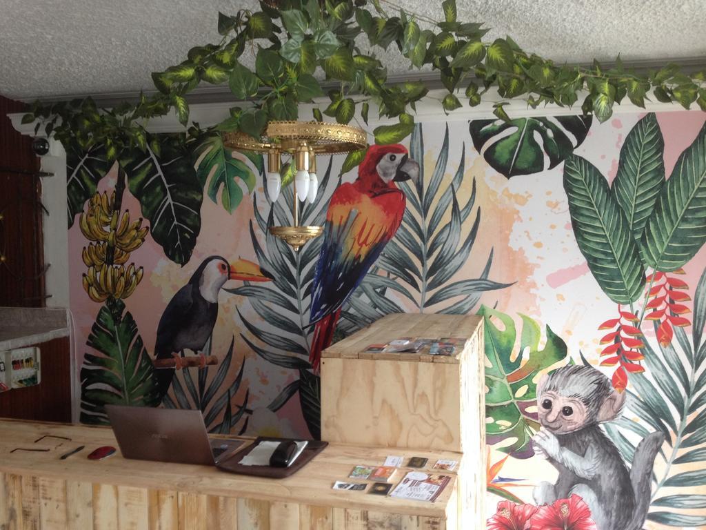 Hostal Casa Paraiso Medellín Esterno foto